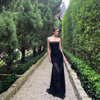 The Elara Sheer-Paneled Tube Maxi Dress