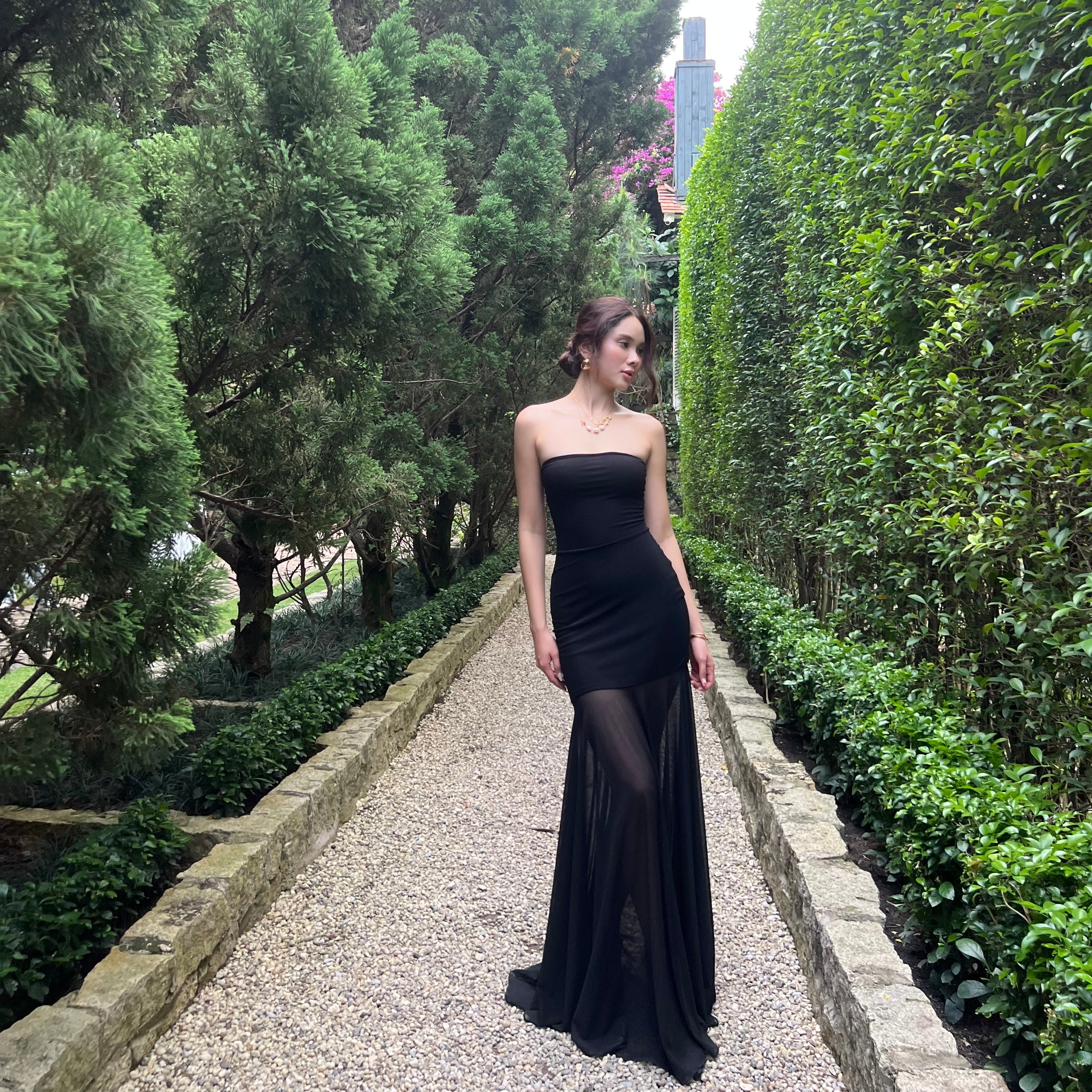 The Elara Sheer-Paneled Tube Maxi Dress