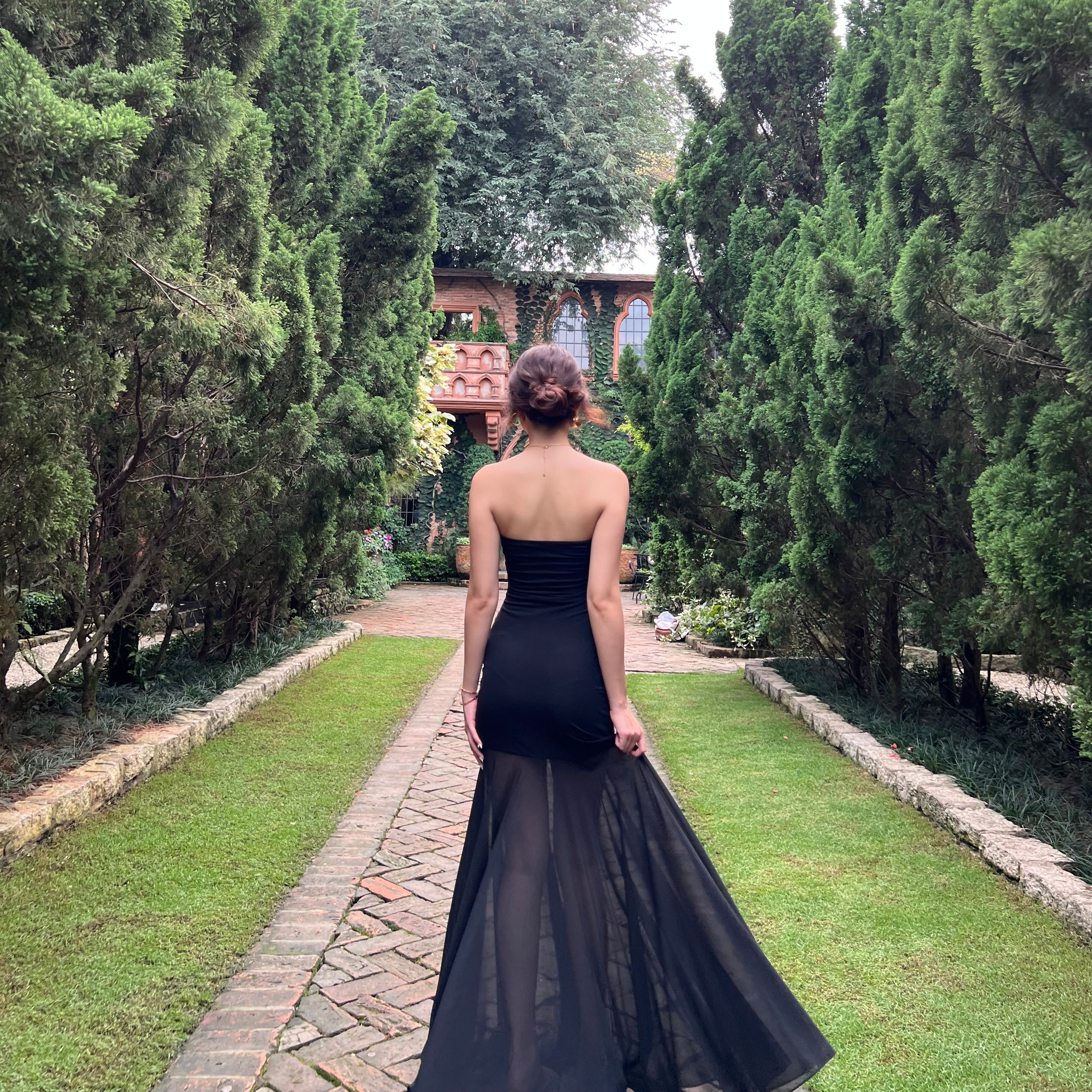 The Elara Sheer-Paneled Tube Maxi Dress