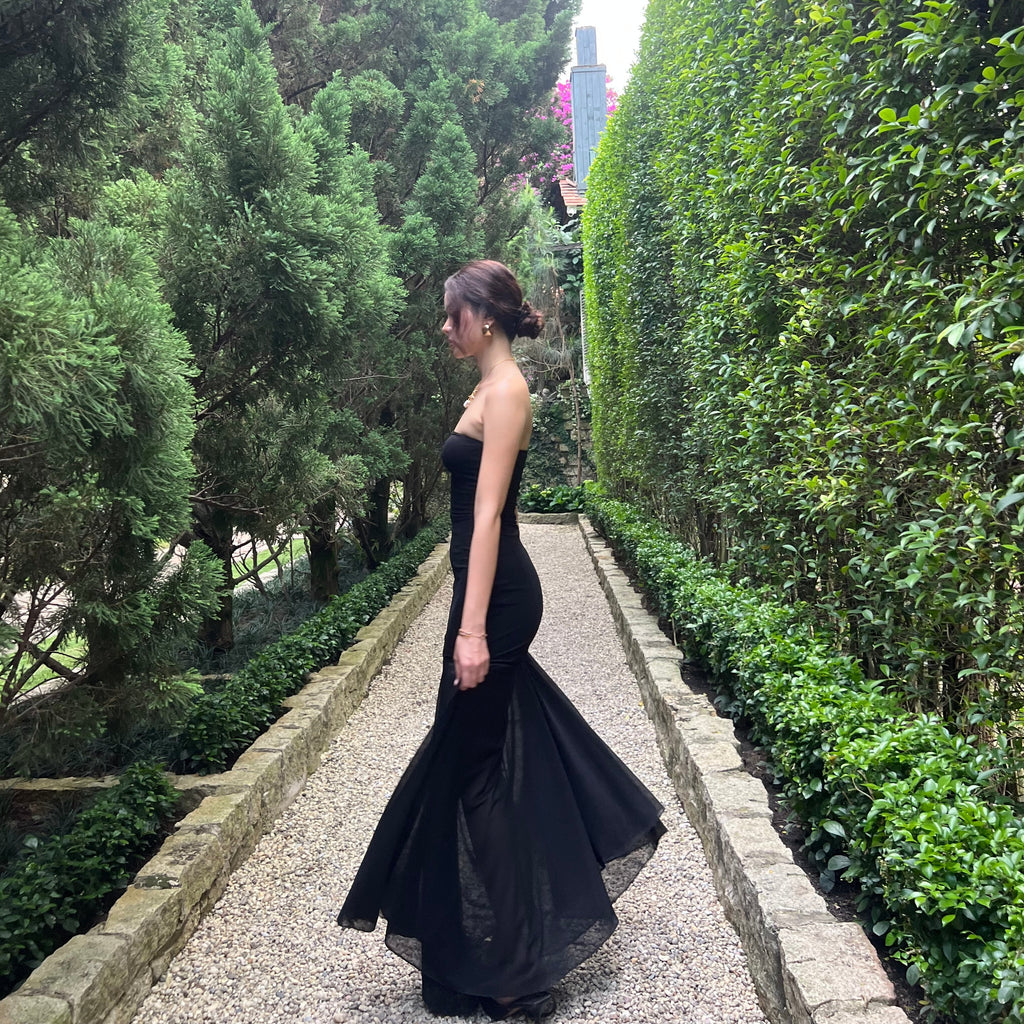 The Elara Sheer-Paneled Tube Maxi Dress