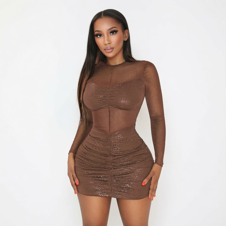 The Elara Sheer Mesh Ruched Bodycon Mini Dress