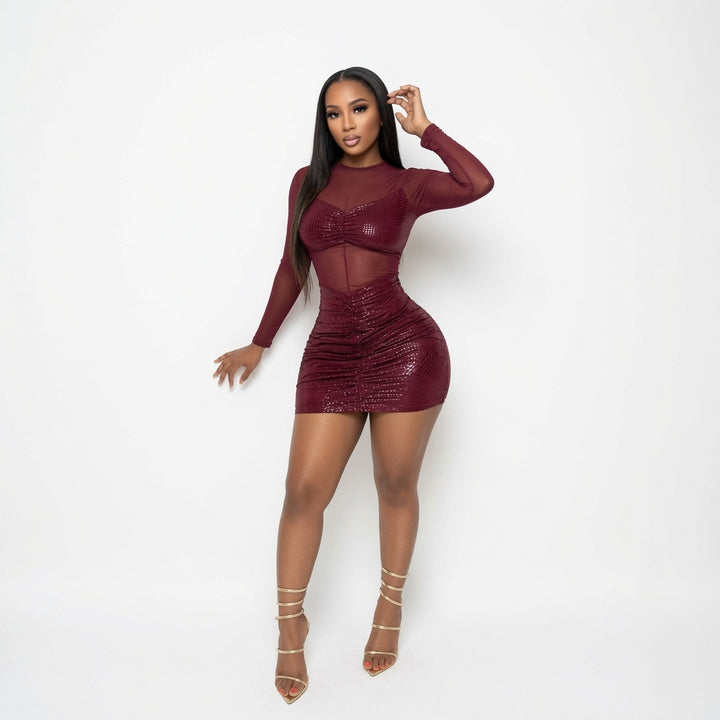 The Elara Sheer Mesh Ruched Bodycon Mini Dress